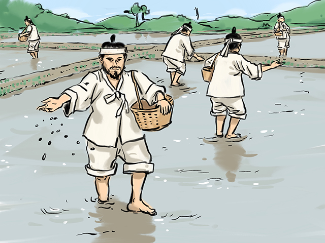 사진1. 조선시대직파법(출처-스토리테마파크).png