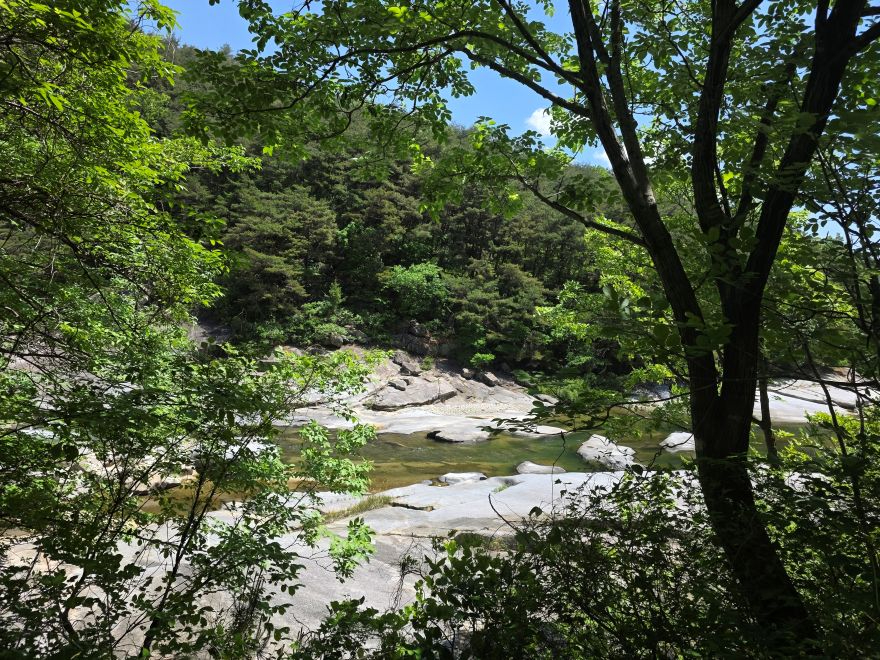 산림 계곡.jpg
