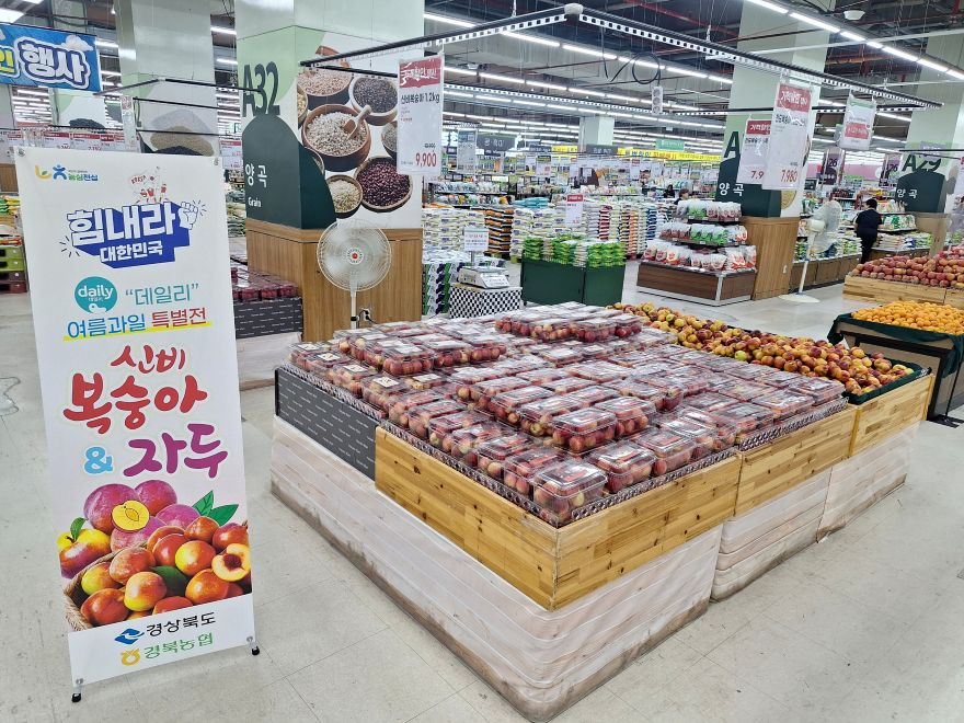 (추가_사진)_①_경북도__'daily'_여름과일_최대_27%_할인(하나로마트_창동점).jpg
