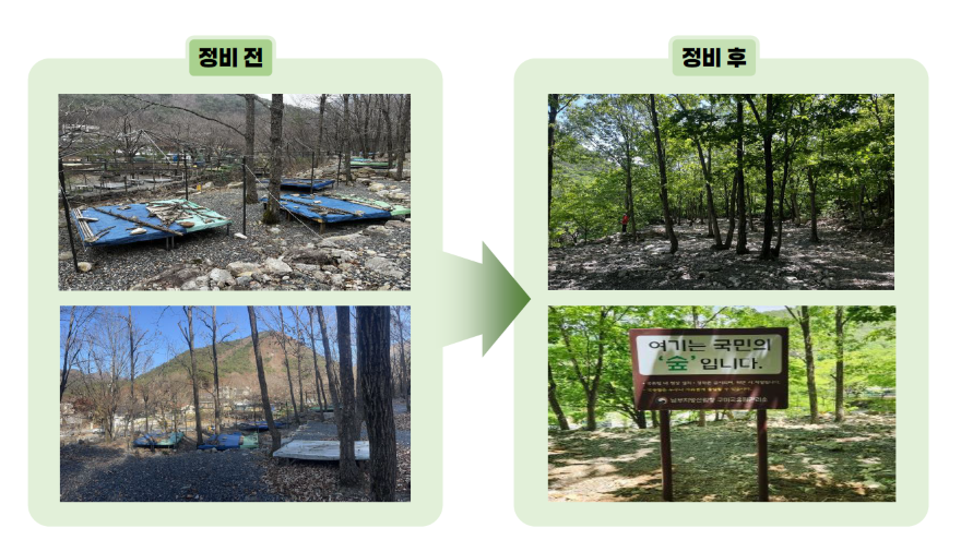보도사진(정비 전후).png