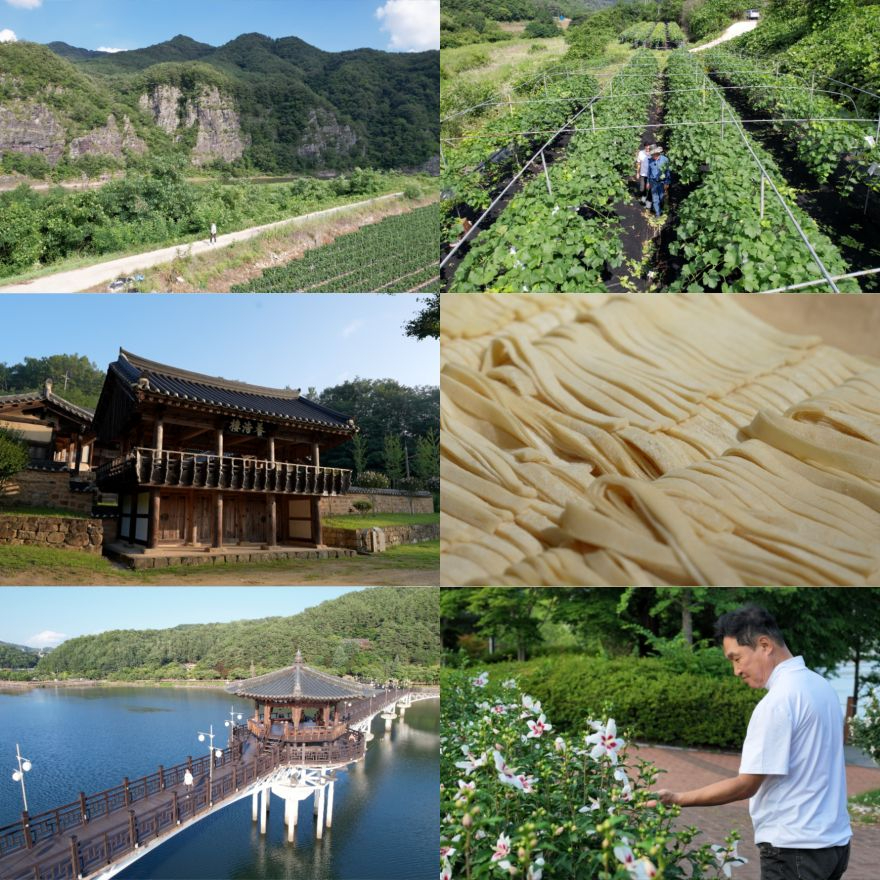 보도자료 첨부사진(한국기행 안동편).jpg