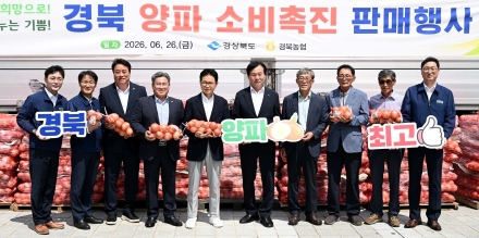 풍년의 역설에 우는 양파 농가… 경북도, ‘전방위 수급안정’ 총력전