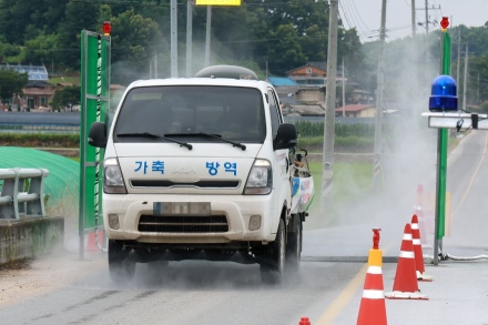 두 달간의 사투 끝냈다… 예천군, 구제역 이동제한 전면 해제