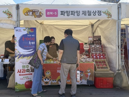 서울광장에 펼쳐진 영주의 맛과 멋… 명품 사과와 풍기인삼 축제가 만났다