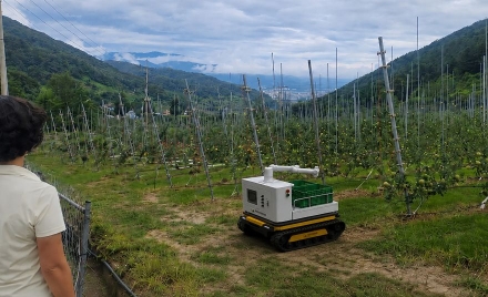 산지 과원 험로 뚫는 ‘AI 로봇’… 영주시, 농업 서비스로봇 실증사업 선정