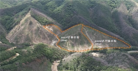 남부지방산림청, AFoCO·KT&G와 손잡고 영양 산불피해지 복원 나선다